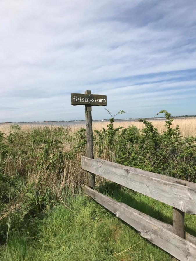 Genieten in een luxe vakantiewoning, dichtbij het IJsselmeer en strand Villa Warns Buitenkant foto