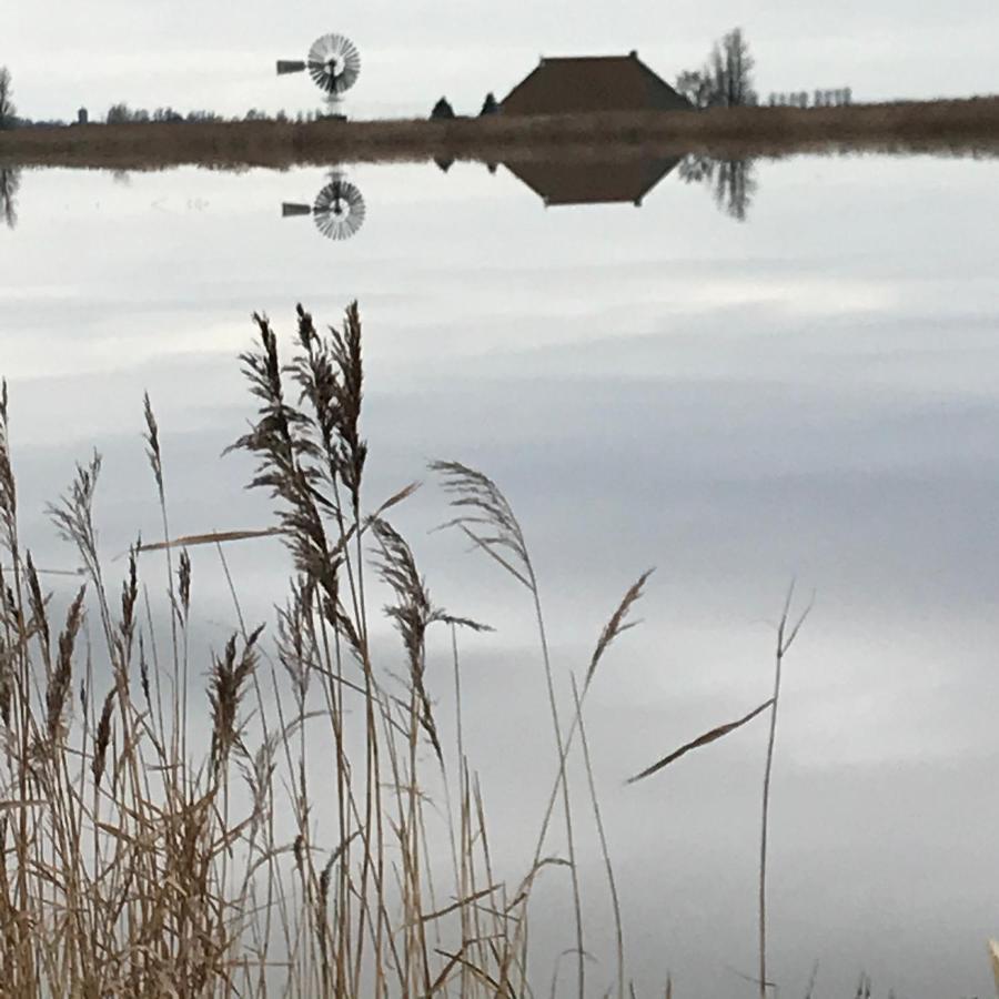 Genieten in een luxe vakantiewoning, dichtbij het IJsselmeer en strand Villa Warns Buitenkant foto